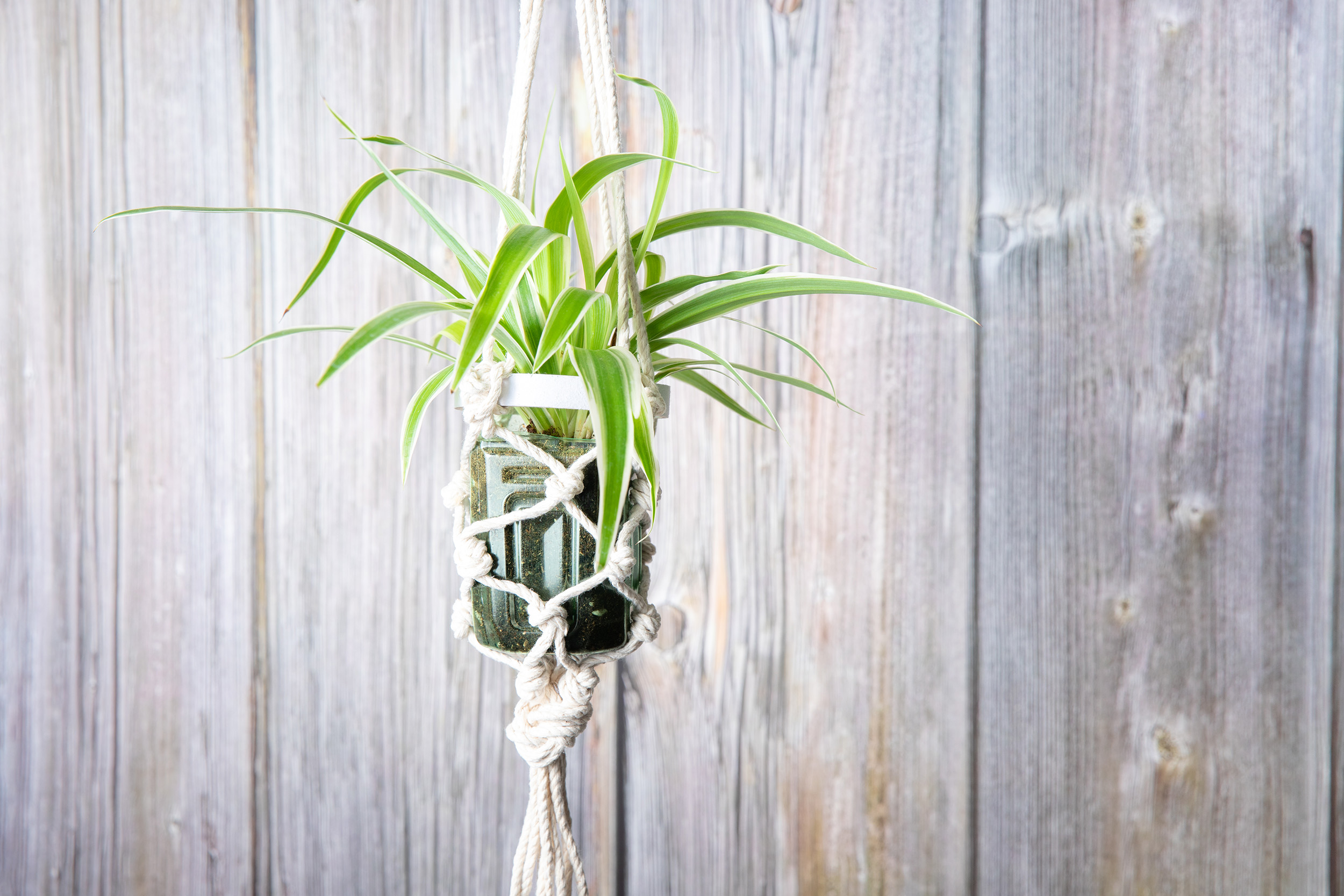 Eco-friendly Plant Hanger Workshop (Online Event)